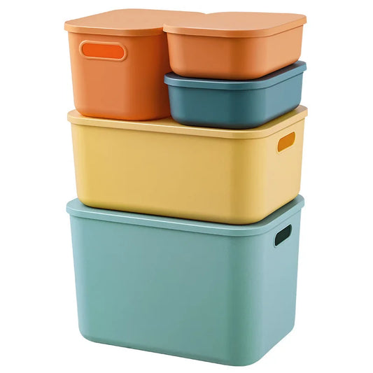 Multi-Color Storage Organizer Set