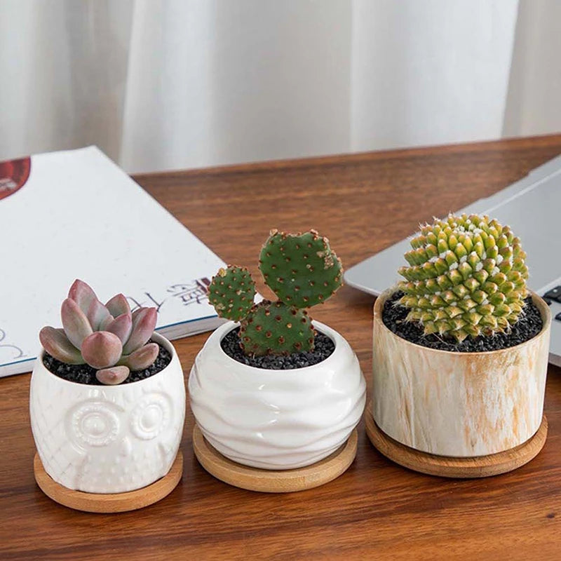 Natural Bamboo Coaster Tray